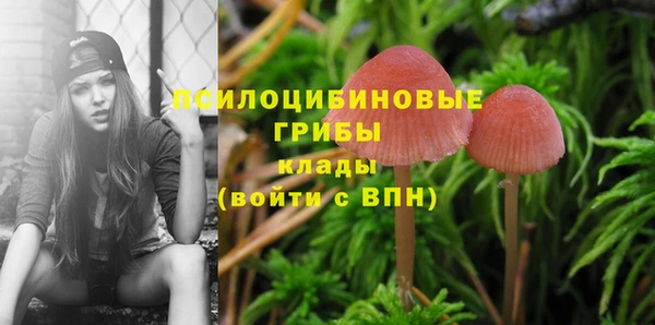 амф Баксан